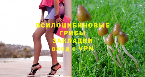 бошки Алексеевка