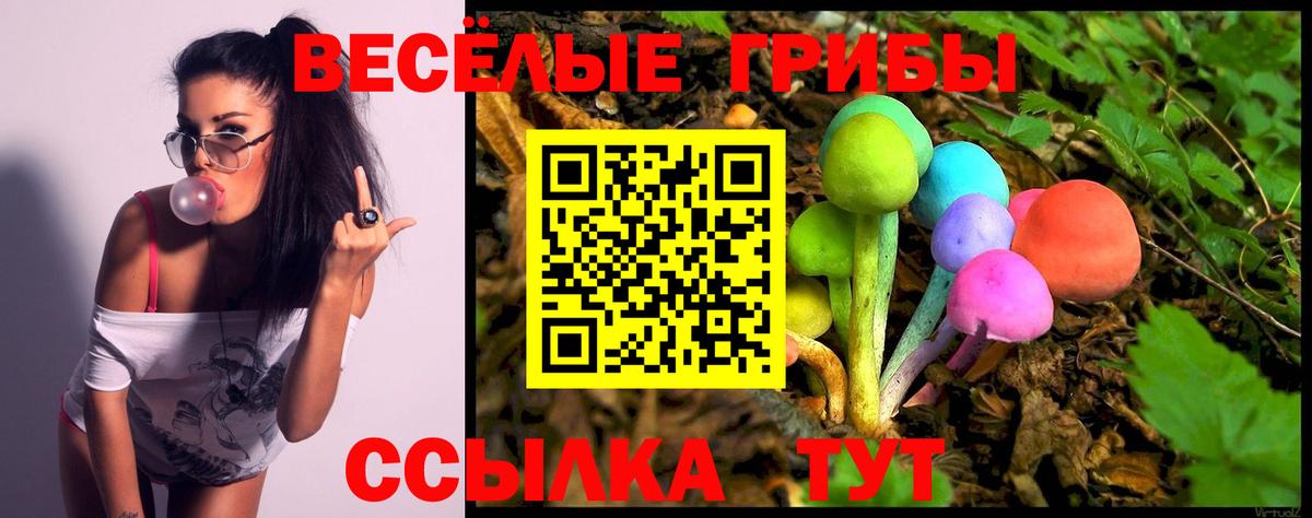 Галлюциногенные грибы MAGIC MUSHROOMS  Вход с VPN  Дзержинский 