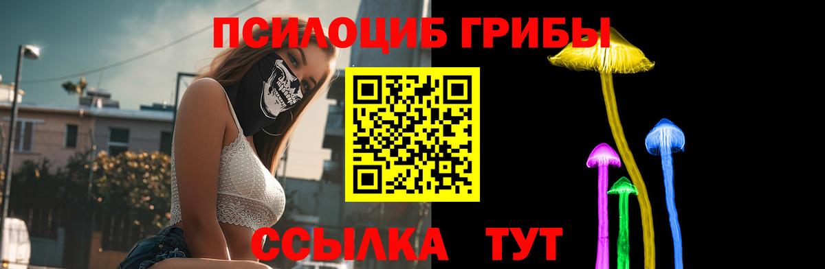 Галлюциногенные грибы GOLDEN TEACHER Дзержинский